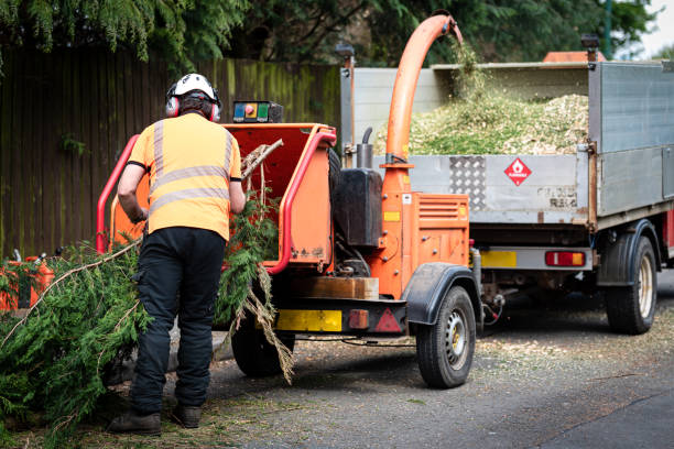 Best Lawn Irrigation Installation and Maintenance  in Springdale, MD